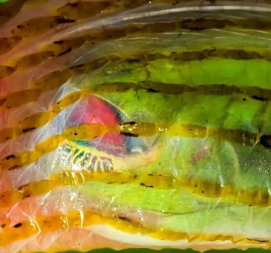 27张恐怖生物照：树蛙被蛇吞下了肚，但它的眼睛隔着蛇皮往外看