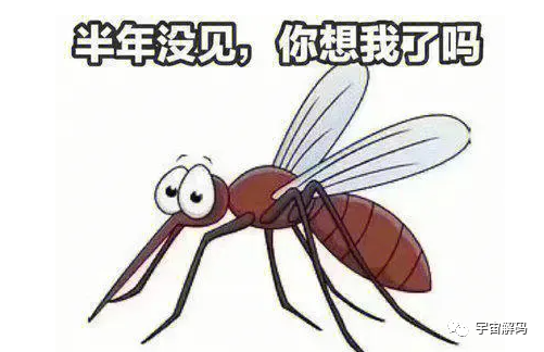 交配后才吸血？蚊子如何在短暂的一生中，让咱们对其深恶痛绝？