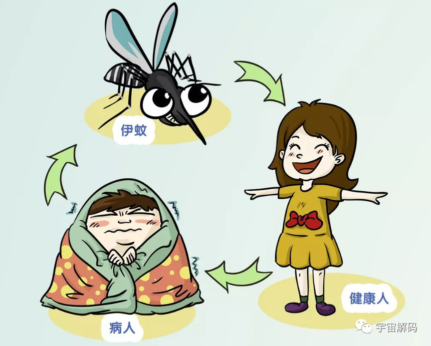 交配后才吸血？蚊子如何在短暂的一生中，让咱们对其深恶痛绝？