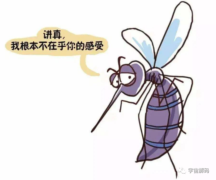 交配后才吸血？蚊子如何在短暂的一生中，让咱们对其深恶痛绝？