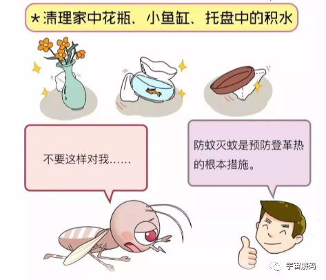 交配后才吸血？蚊子如何在短暂的一生中，让咱们对其深恶痛绝？