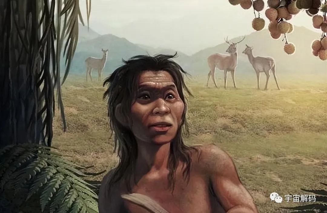 基因研究发现，中国人直发始于1.9万年前，变白始于7500年前