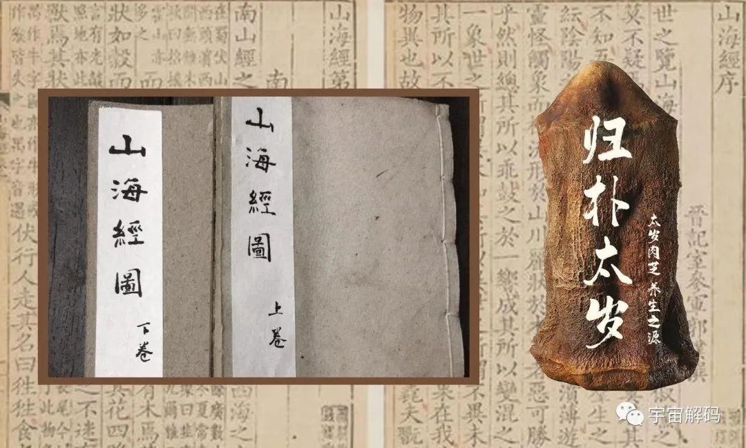 盘点几个违背生命规律的生物：你听说过，跳出三界的“太岁”吗？