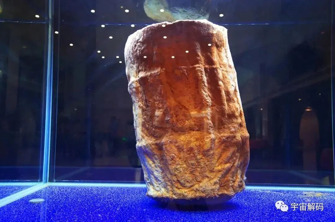 盘点几个违背生命规律的生物：你听说过，跳出三界的“太岁”吗？