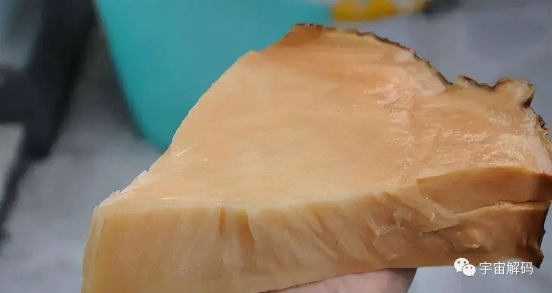 盘点几个违背生命规律的生物：你听说过，跳出三界的“太岁”吗？