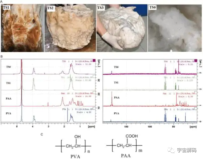 盘点几个违背生命规律的生物：你听说过，跳出三界的“太岁”吗？