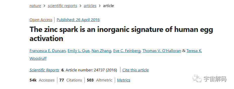 科学家拍到：人类卵子接受精子那一刻，会爆发出一阵巨大闪光