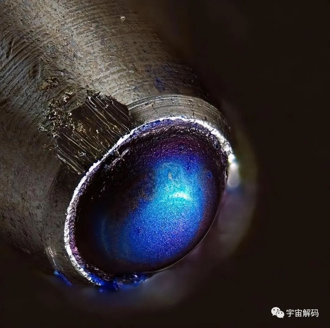 36幅罕见画面在显微镜下呈现，深度揭开科学之谜！