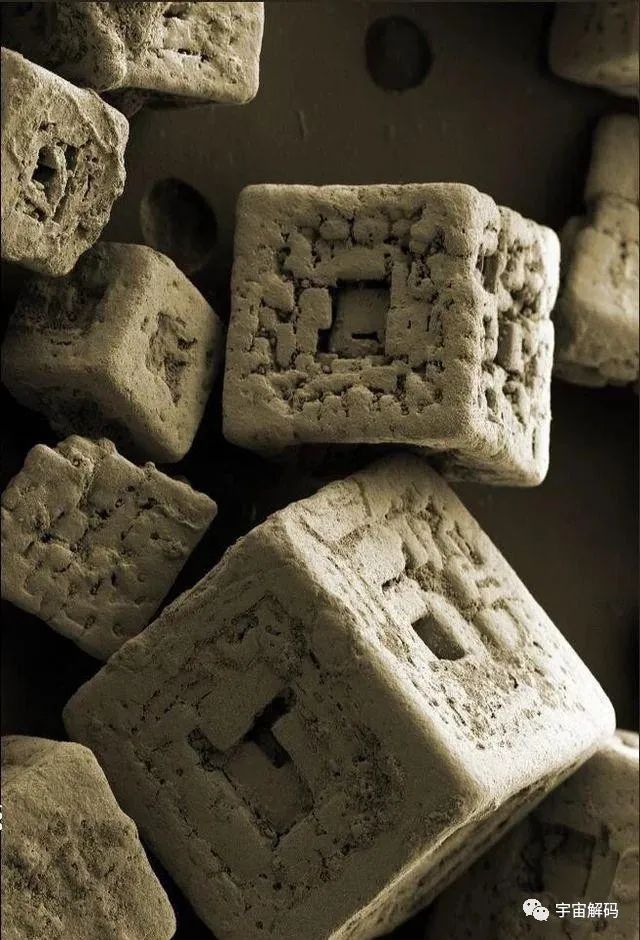 36幅罕见画面在显微镜下呈现，深度揭开科学之谜！