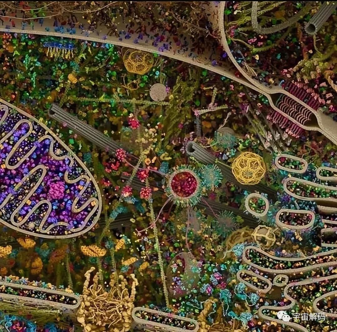 36幅罕见画面在显微镜下呈现，深度揭开科学之谜！