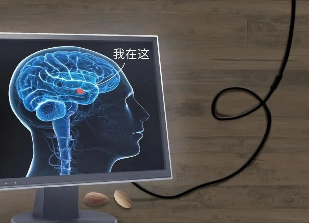 为什么明知道都是演的，看恐怖片时还是会害怕？