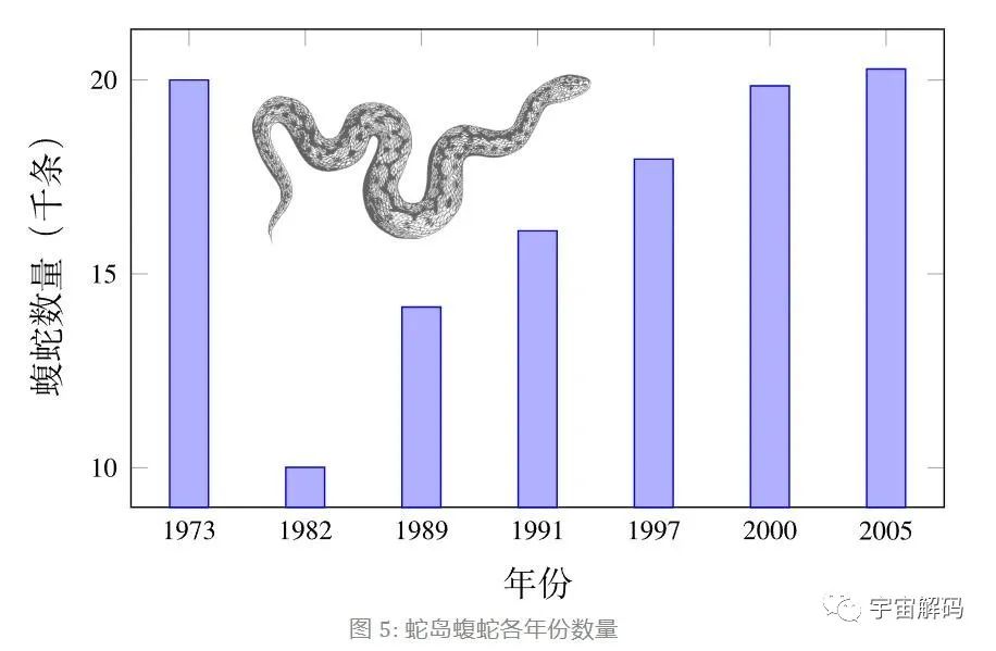 大连蛇岛疯狂“内卷”，一平方公里2万多条蛇