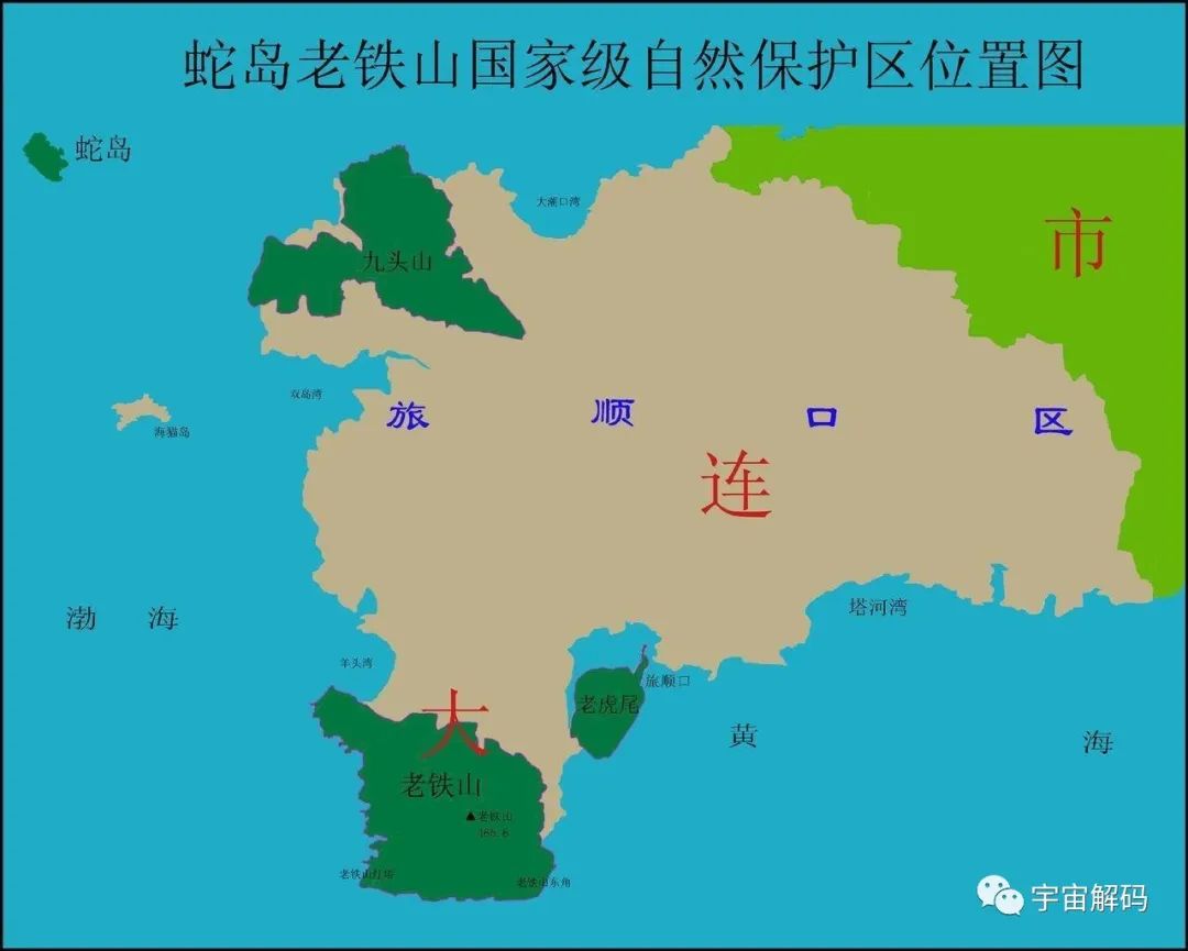 大连蛇岛疯狂“内卷”，一平方公里2万多条蛇