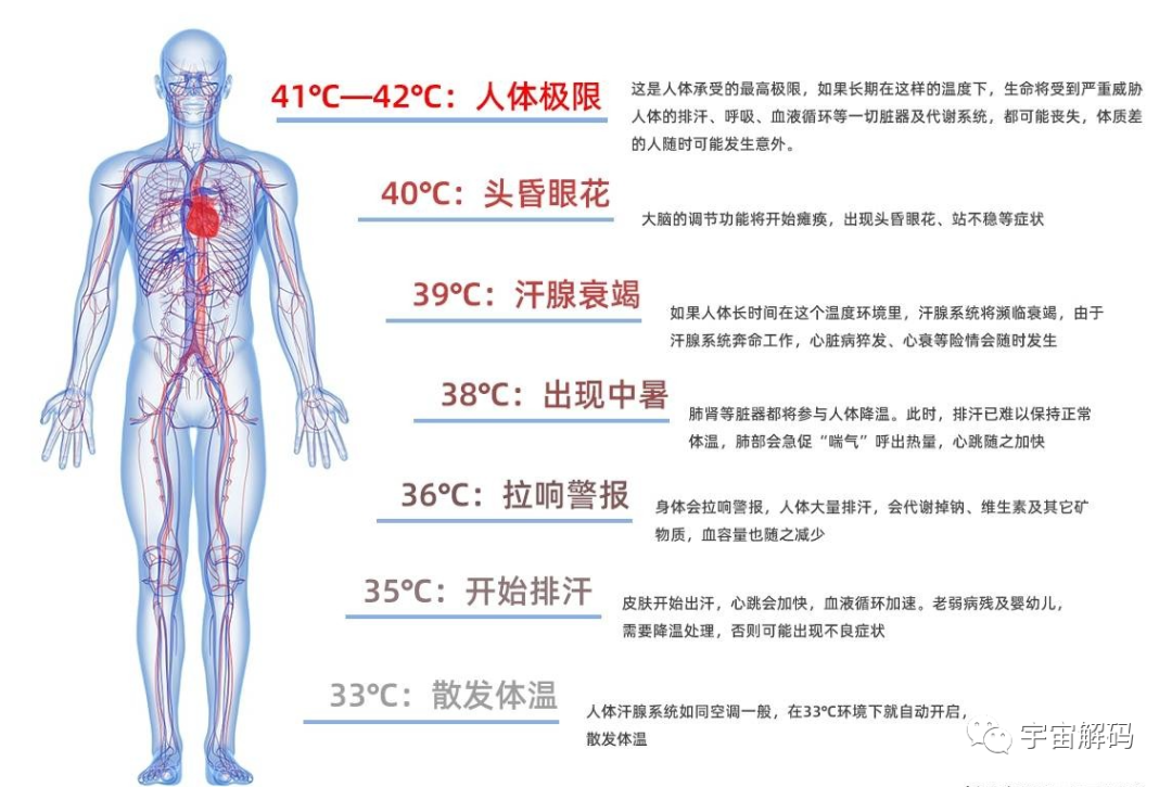 最绝望的死法：1000度高温烘烤53小时