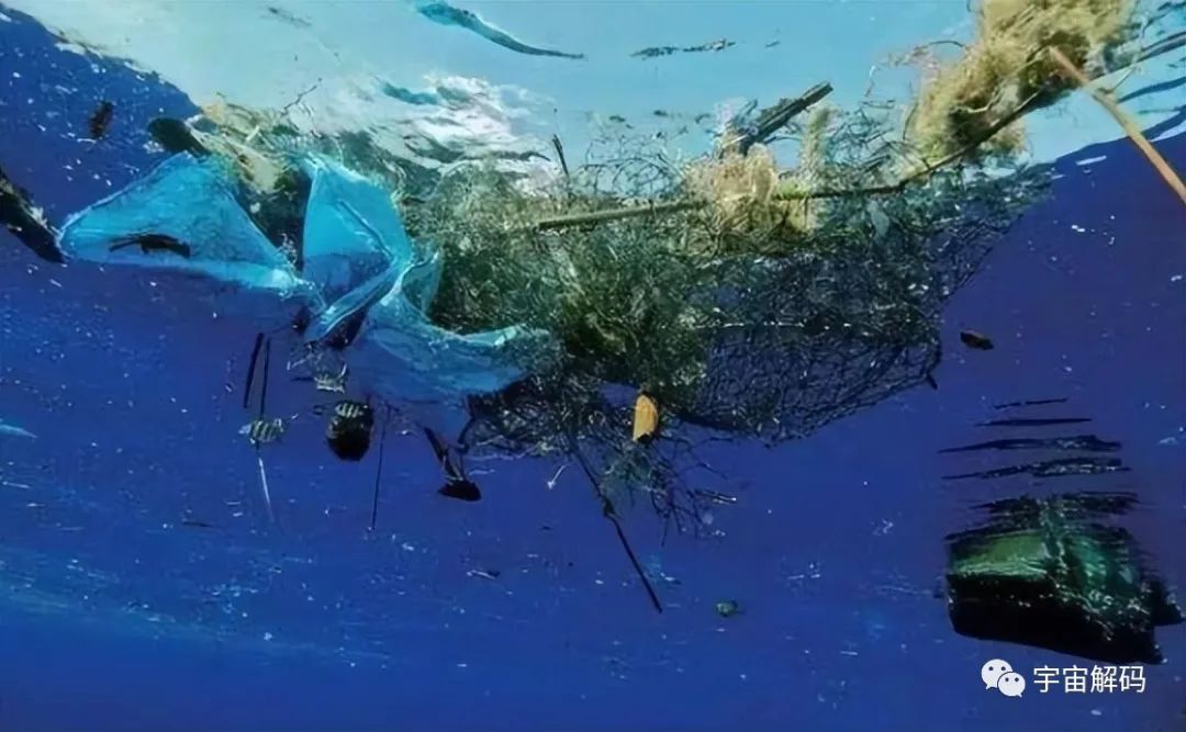 海水为什么不能喝？不仅是因为咸，看看将海水煮开后里面都有什么