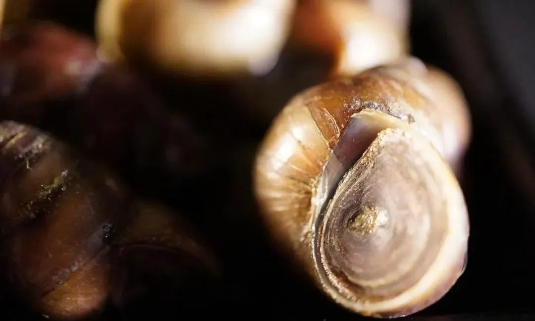 其实有些生物交配的过程很痛苦的，你了解吗？