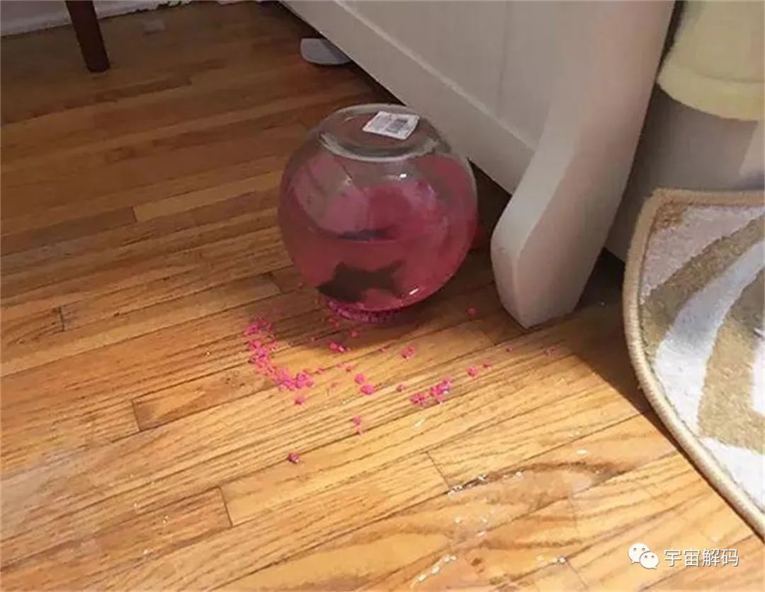 32张不可思议的巧合照片，不是PS却胜过PS