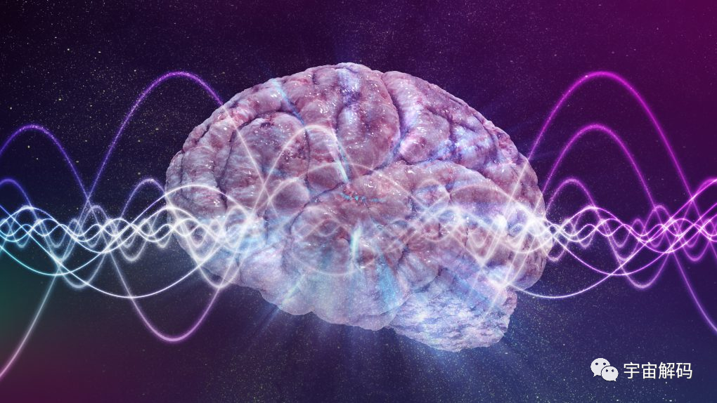 科学家发现人死后大脑中出现大量未知活动