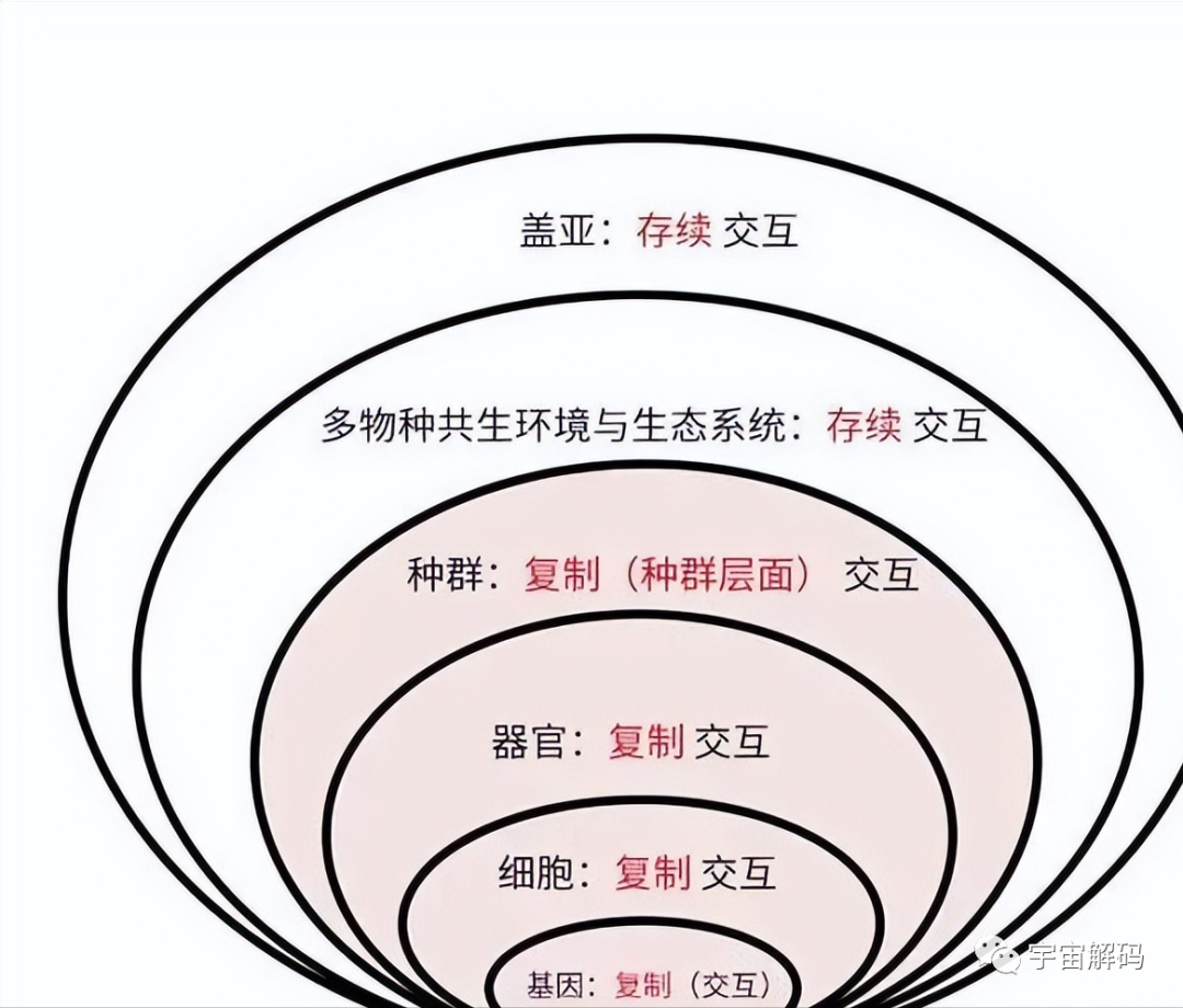 地球是“活的”？人类的诞生和环境的调节，或是它的刻意安排！