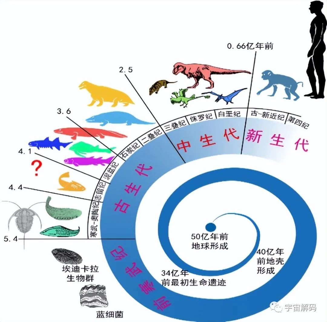 地球是“活的”？人类的诞生和环境的调节，或是它的刻意安排！