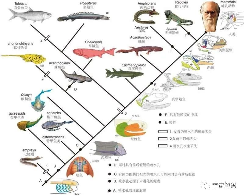 生命起源：地球上最初没有人，那第一位女人和男人是怎么诞生的？