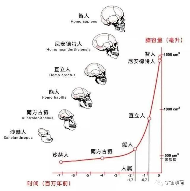 生命起源：地球上最初没有人，那第一位女人和男人是怎么诞生的？