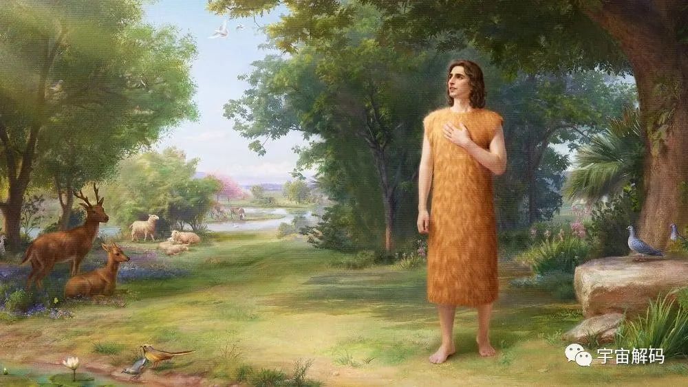 生命起源：地球上最初没有人，那第一位女人和男人是怎么诞生的？