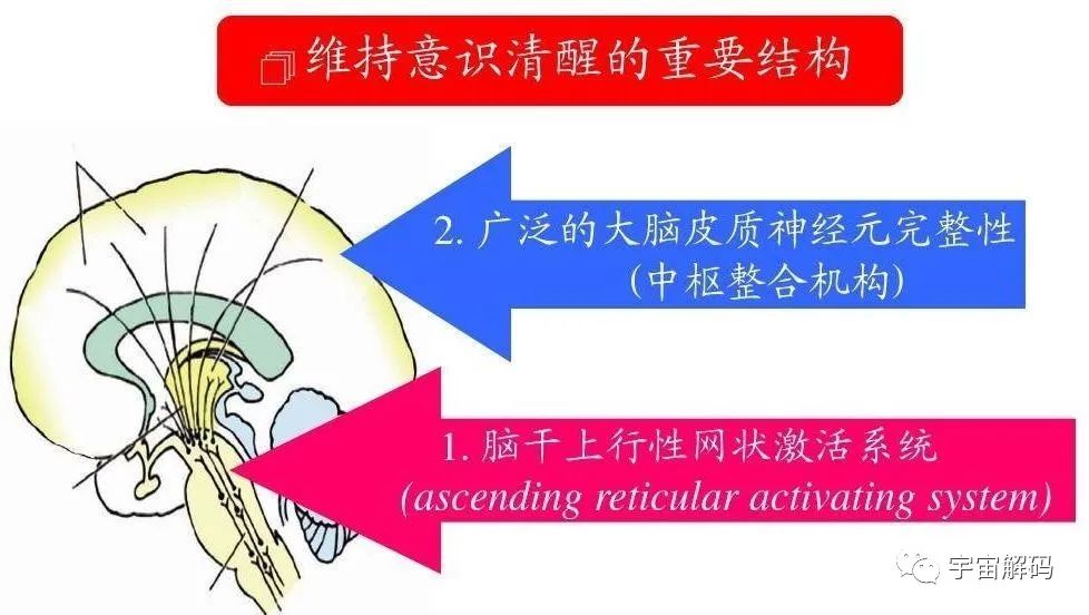 “鬼打墙”真的存在吗？为了寻求答案，科学家做了一个实验