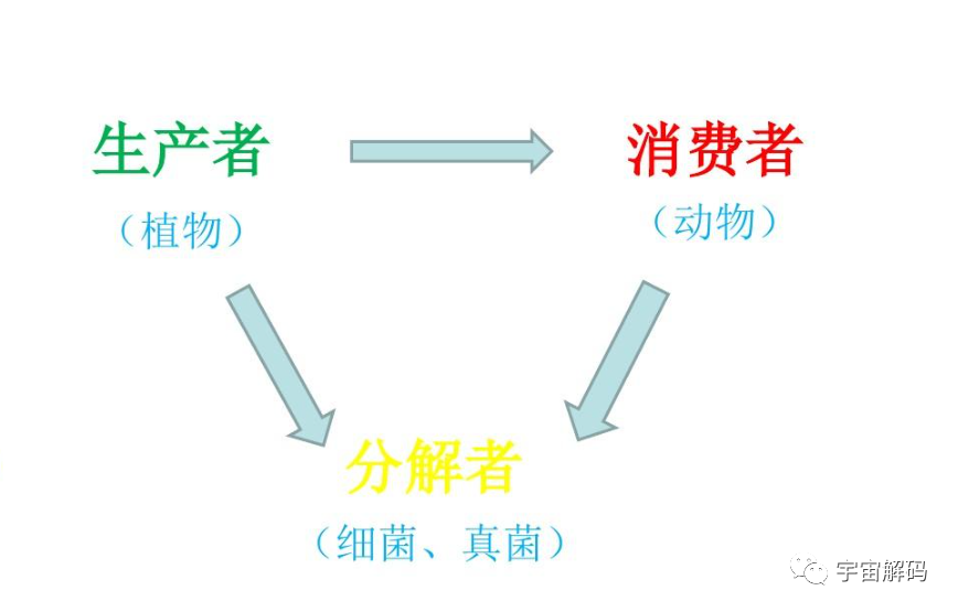 一个玻璃瓶，可以在自然界中存在多久？