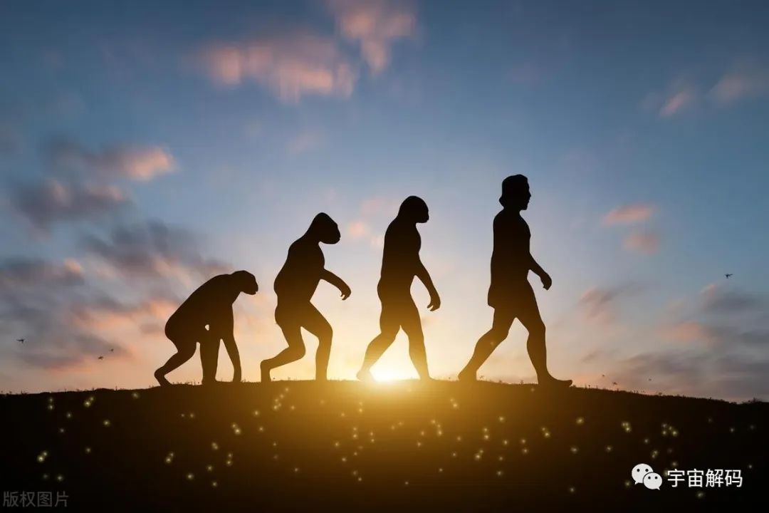 星座是科学还是玄学？盘点那些被科学证明，但人们难以接受的理论