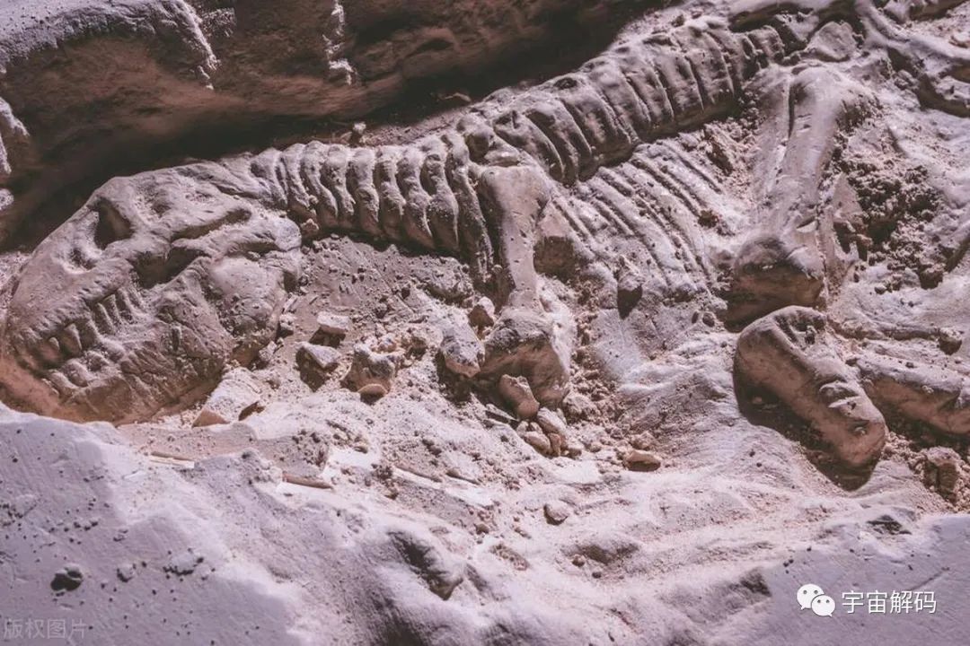 星座是科学还是玄学？盘点那些被科学证明，但人们难以接受的理论