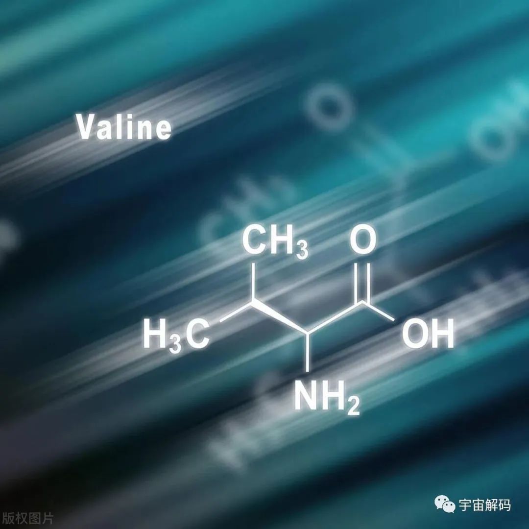 星座是科学还是玄学？盘点那些被科学证明，但人们难以接受的理论