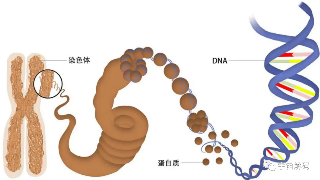 科学家深入研究，得出一个可怕的结论，人类也许生活在虚拟世界