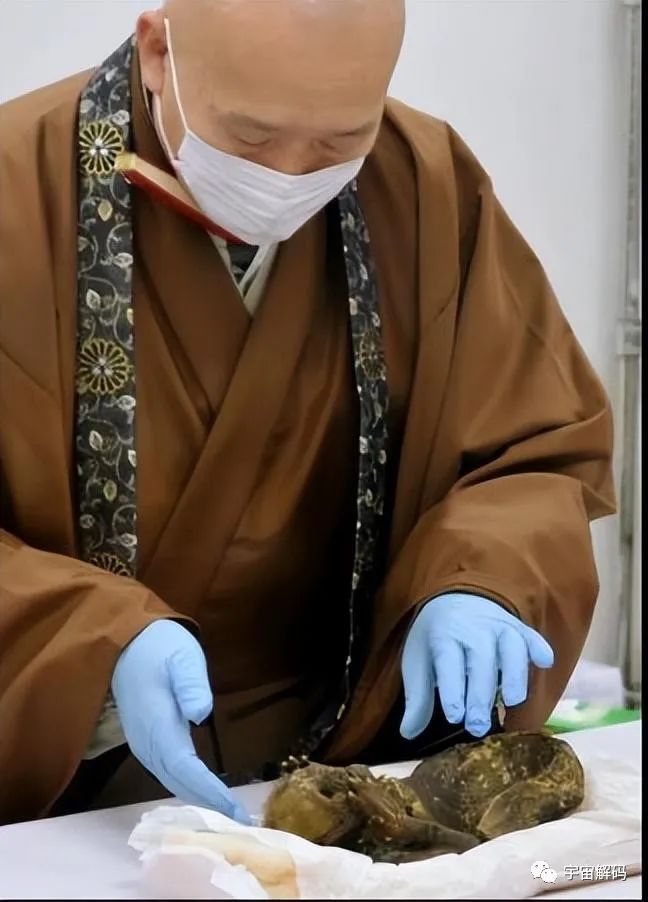 轰动日本的“300年人鱼木乃伊”之谜解开！真相比走近科学还精彩
