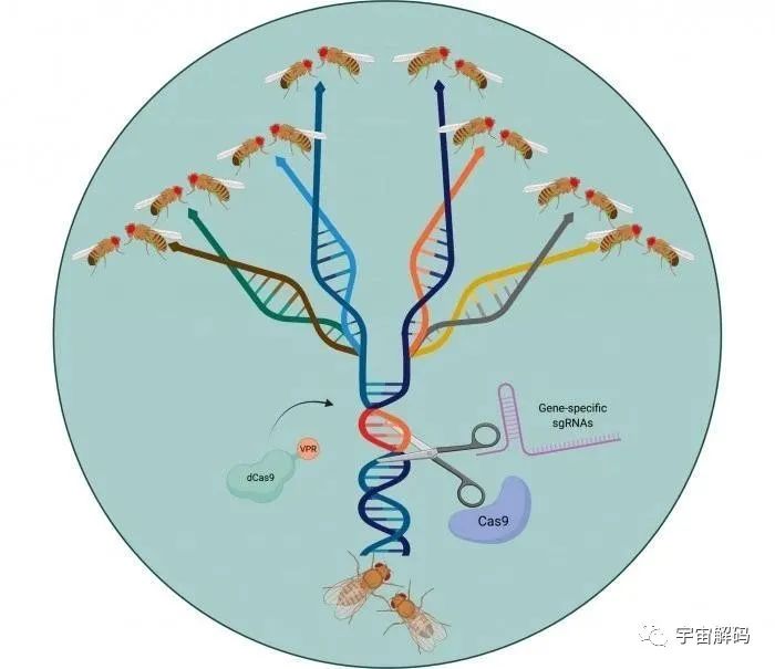 盘点10种比核弹更糟糕的武器：基因武器仅排第七