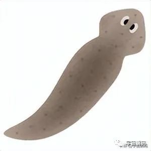 有性生殖、无性生殖、孤雌生殖、处女生殖有什么区别？