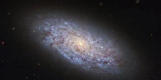 新研究表明，宇宙可能是个“甜甜圈”