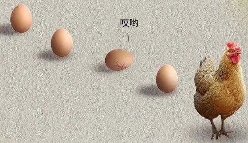 母鸡下蛋后为什么会咯咯叫，是因为屁股疼吗？