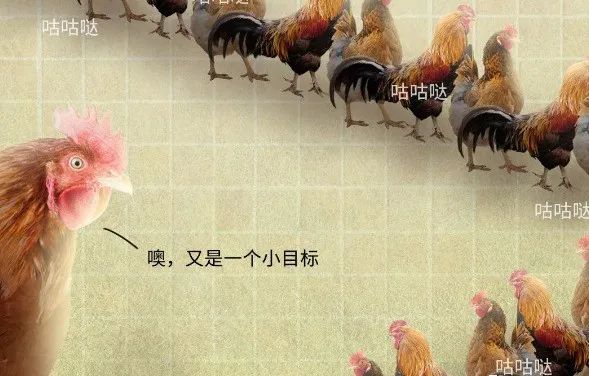 母鸡下蛋后为什么会咯咯叫，是因为屁股疼吗？