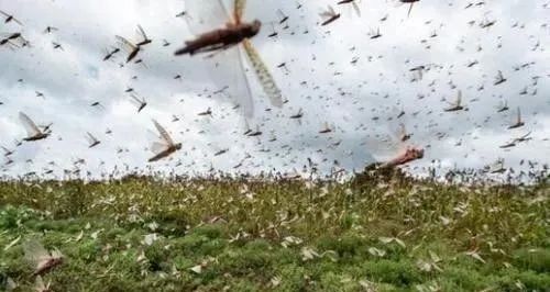 如果地球的氧气含量突然增加一倍，会发生什么？
