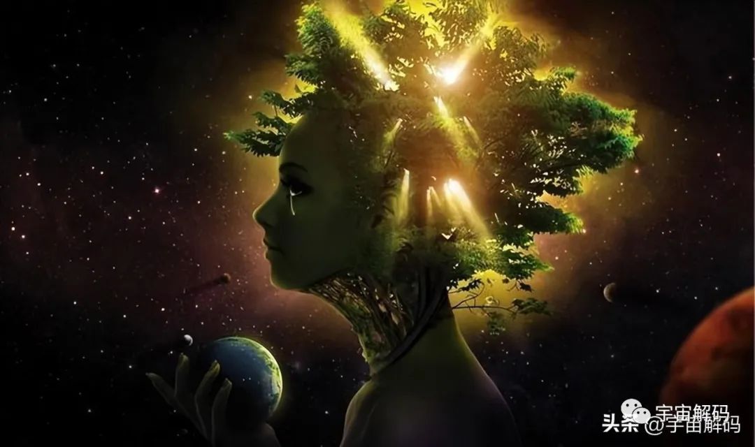 有你意识的机器，没有意识的你的大脑，哪个才是真正的你？