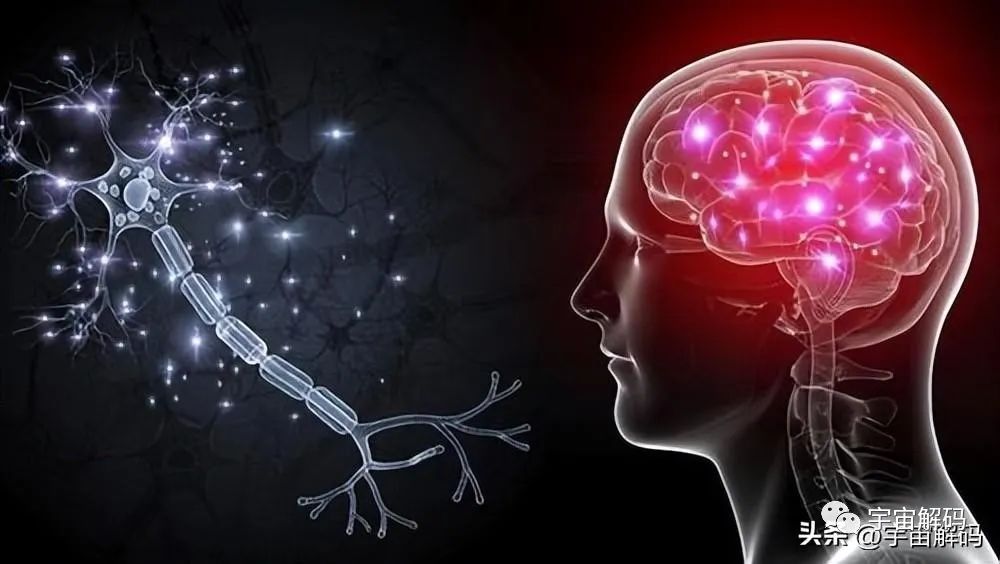 有你意识的机器，没有意识的你的大脑，哪个才是真正的你？