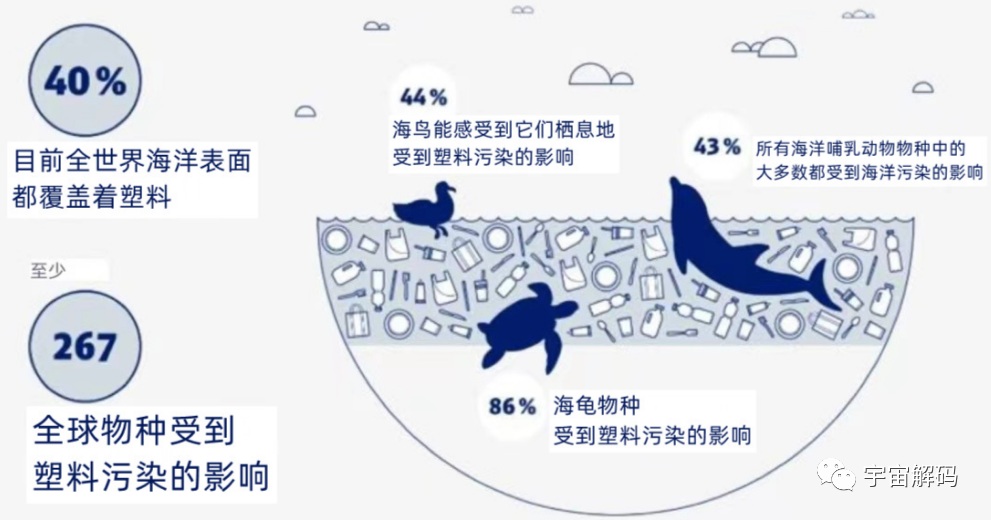下潜1万多米的海底，发现了不该发现的东西？