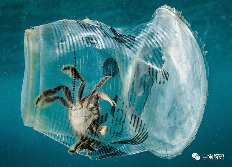 下潜1万多米的海底，发现了不该发现的东西？