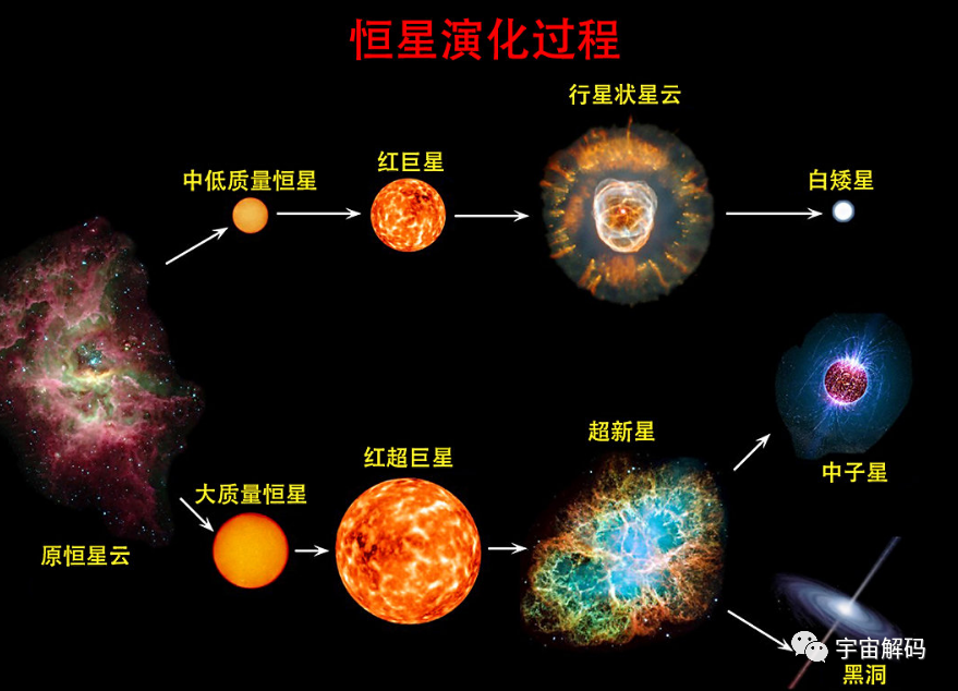 天文学家彭罗斯：人类的死亡仅是宇宙的幻象，生命不可能迎来终结