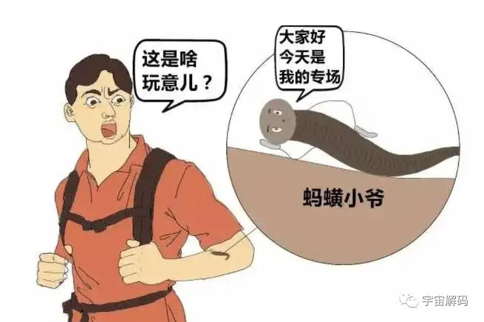 水蛭如果不小心吃肚子里了，在人的肚子里还可以活吗？