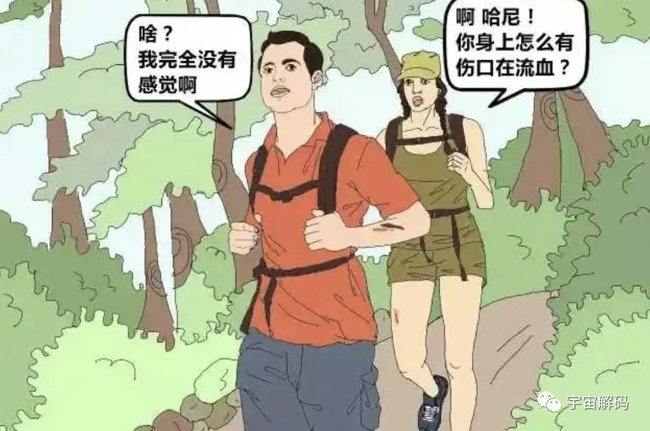 水蛭如果不小心吃肚子里了，在人的肚子里还可以活吗？