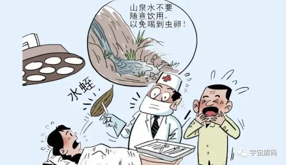 水蛭如果不小心吃肚子里了，在人的肚子里还可以活吗？