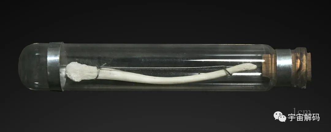 明明是最高等生物，人类生理结构却有很多不合理，为什么？