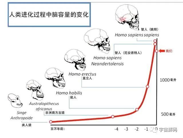 明明是最高等生物，人类生理结构却有很多不合理，为什么？